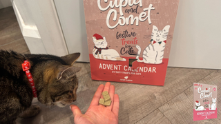 Chilli sniffing treats on Megan's hand from the Rosewood Cupid & Comet Advent Calendar For Cats, Yoghurt & Catnip Flavour Cat Treats