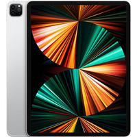 Apple 11" iPad Pro M1 256GB (2021)|