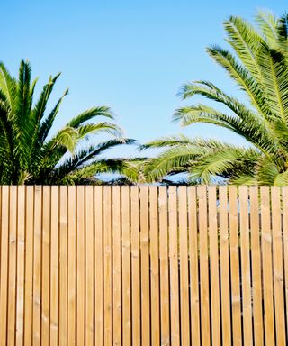 timber semi privacy fence with vertical flat slats