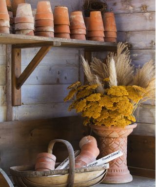 Potting shed