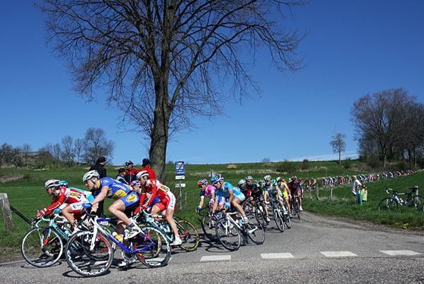 The peloton weaves its way through the course.