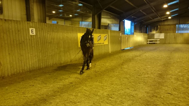 DSC_0201-e1415618135296.jpg