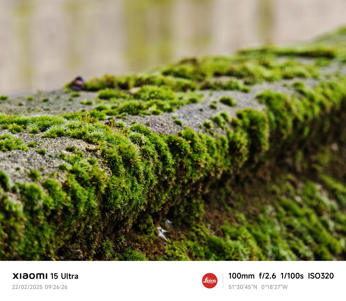A photo captured on the Xiaomi 15 Ultra