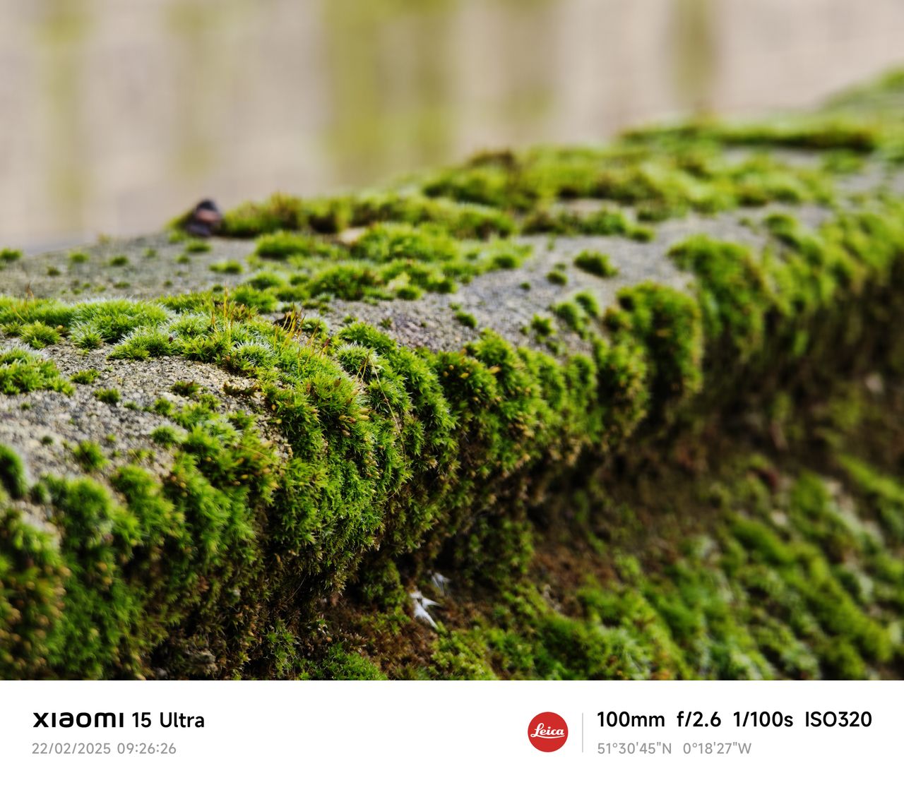 A photo captured on the Xiaomi 15 Ultra