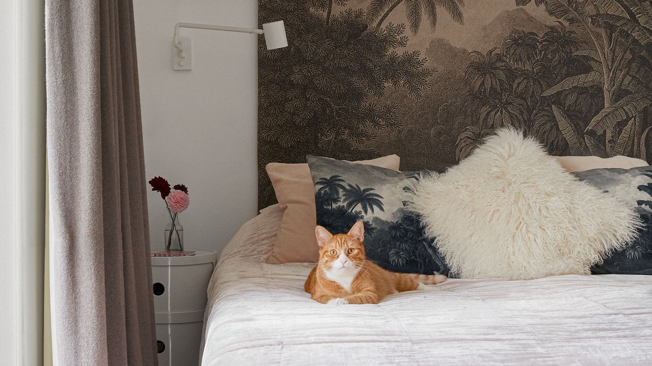 a ginger and white tabby cat lying on a bed