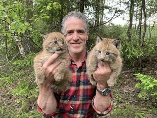 Gordon with snow cat cubs