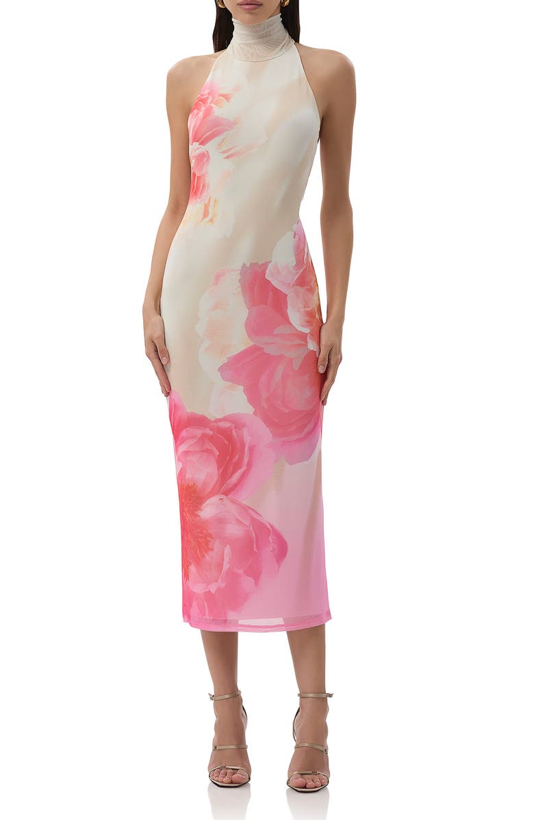 Olimpia Floral Halter Neck Mesh Dress