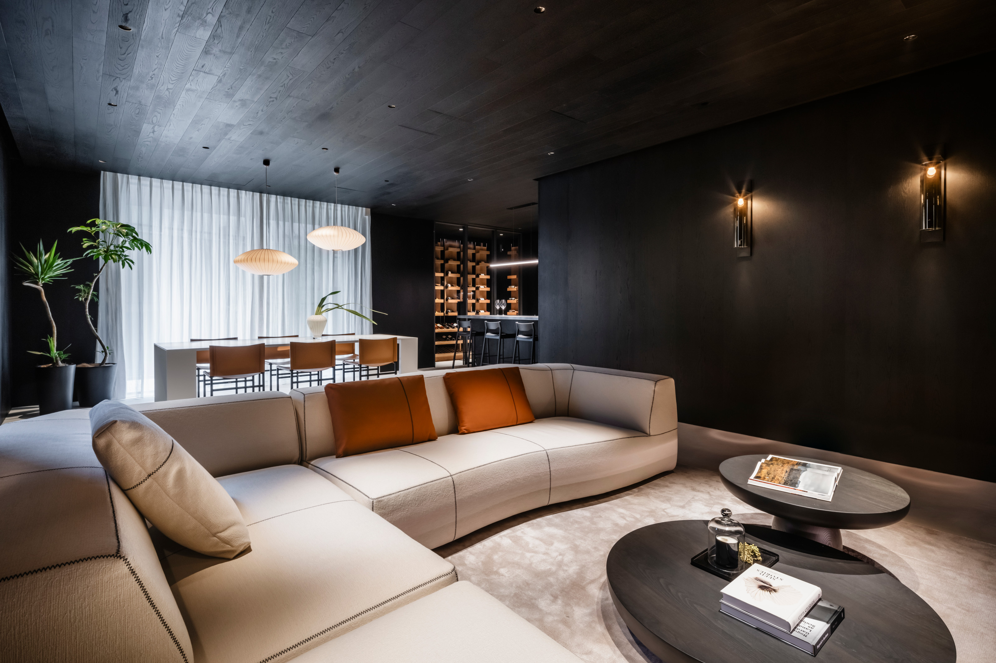 The basement media room