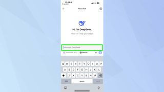 DeepSeek AI interface 