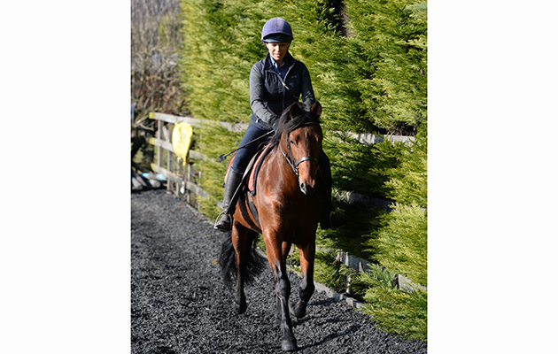 Katy riding Woodrow March Past the recently arrived New Forest stallion of Sam Woolerton&amp;rsquo;s at Katy Marriot Payne stables in a small Northampton Village in the UK on the 13th February 2017