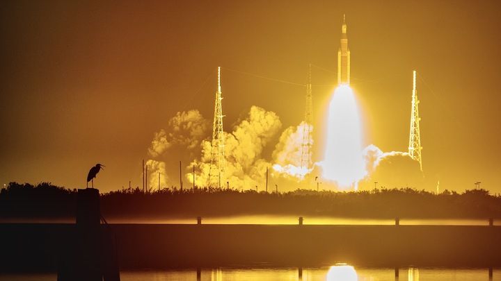 the silhouette of a sea bird perched on a wooden outcrop from the water, watches with its beak agape as the flames from a massive rocket launching in the distance reflect on the surface of the water. 