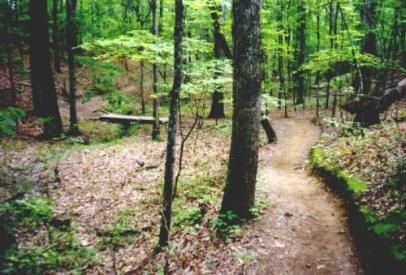 An example of singletrack in the Triple Crown East
