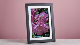 The Eptusmey 10.1-inch WiFi Digital Photo Frame in vertical orientation, showing a closeup of pink rhododendrons.