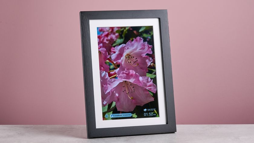 The Eptusmey 10.1-inch WiFi Digital Photo Frame in vertical orientation, showing a closeup of pink rhododendrons.