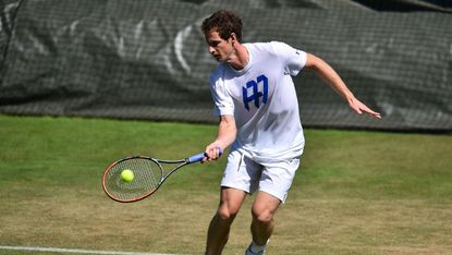 Andy Murray at Wimbledon