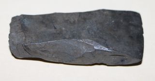 Samoan stone tool found in Tonga.