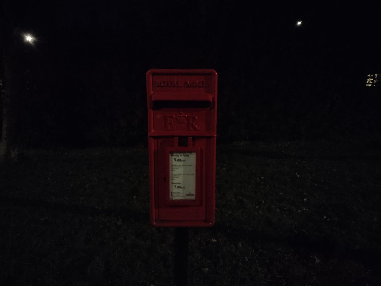 Vivo Y20s camera sample