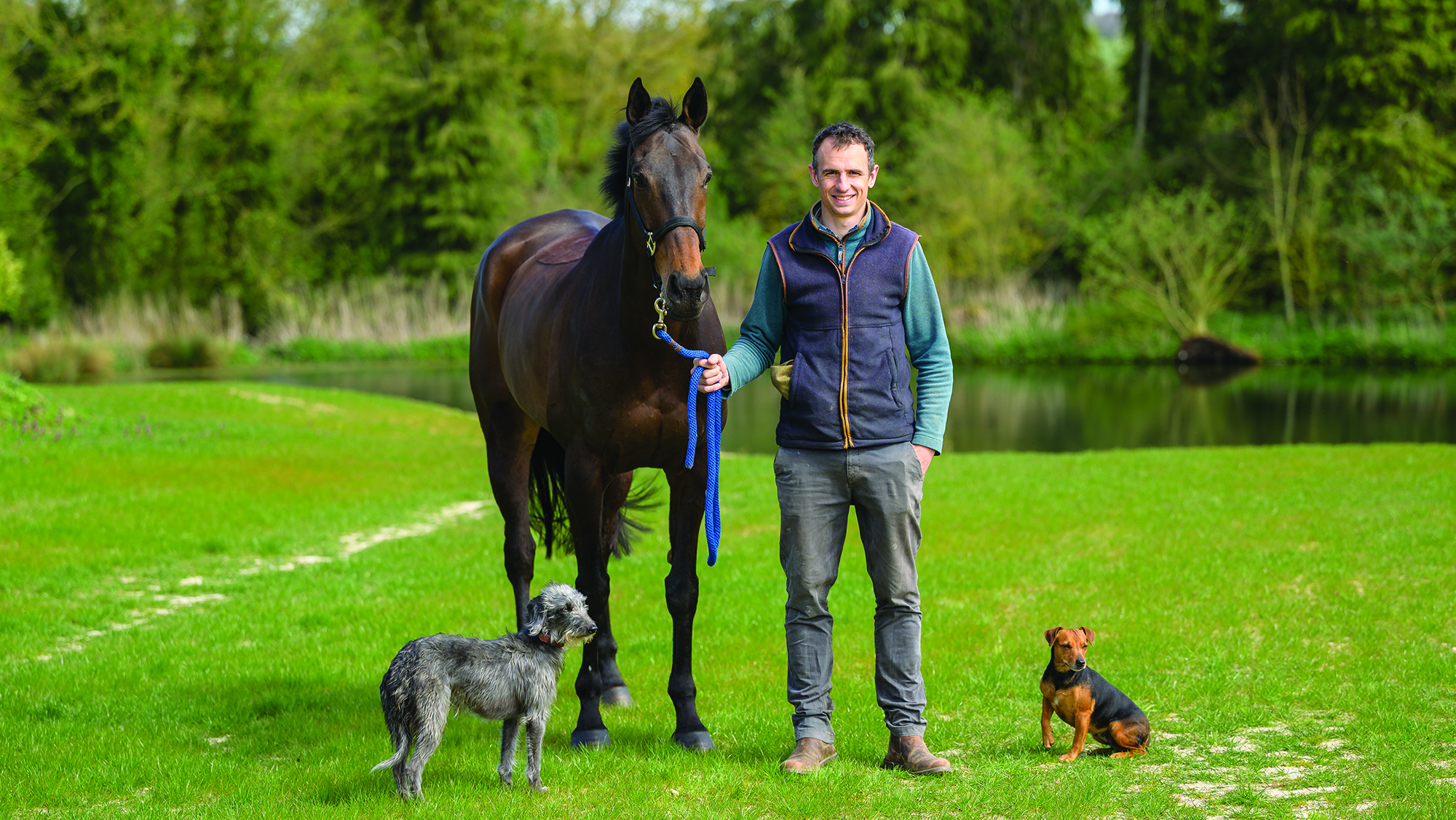 Tom Strawson with his Badminton Horse Trials ride Public Address, plus dogs Tigga and Taffie.