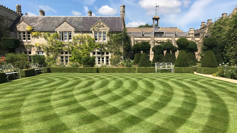 lawn decoration ideas: patterned lawn