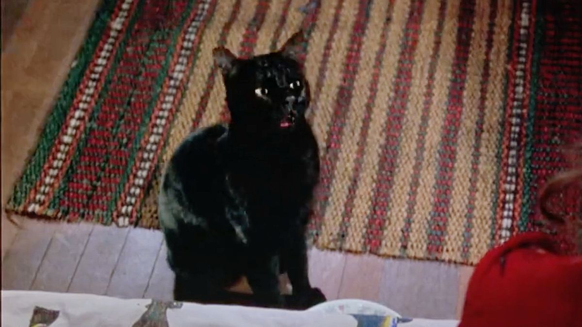 Binx in Hocus Pocus