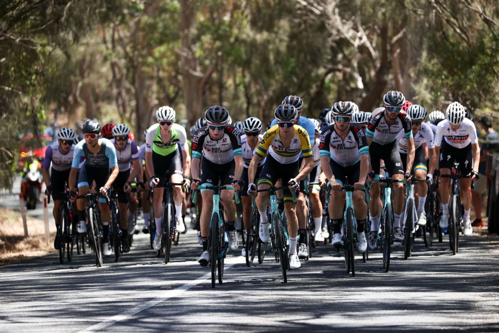 ADELAIDE, AUSTRALIA - JANUARY 22: The peleton on the KOM climb on Hawthorn Road, Echunga during the Men's Bike Exchange Stage 2 from Birdwood to Lobethal of the Santos Festival of Cycling on January 22, 2021 in Adelaide, Australia. (Photo by Peter Mundy/Getty Images)
