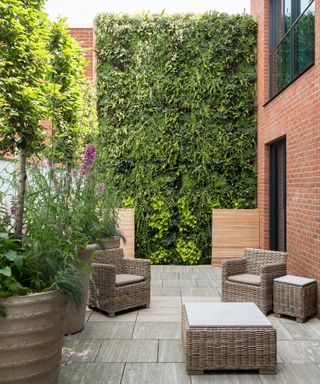 Living garden wall ideas in a small residential garden with gray patio and red brick walls, filled with wicker garden furniture and oversized plant pots with small trees in.
