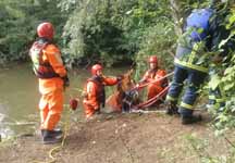 horse%20rescue%20lake.jpg