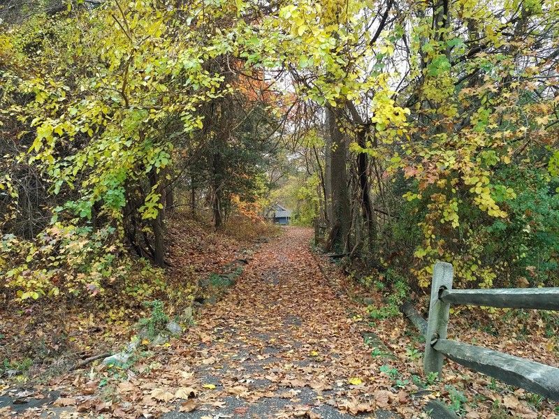 BlackBerry Priv camera sample