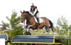 Dargle-Looks-HorseNo169_Barbury15pn_25680.jpg
