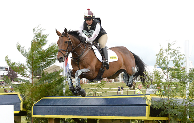 Dargle-Looks-HorseNo169_Barbury15pn_25680.jpg