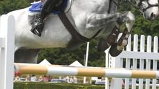 Class-169_Hickstead-Derby_PN18_39226.jpg