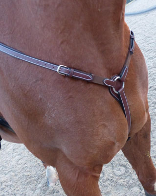 2.Childe&amp;#769;ric Saddles Breastplate emailer corrrect copy