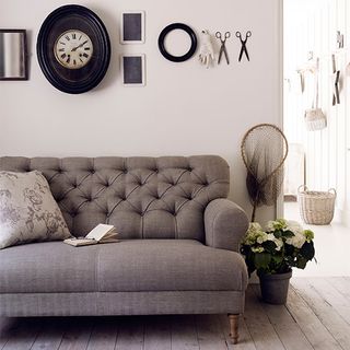 room with potted plant and sofa set with cushion