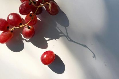 Tannins_grapes_pexels-angelica-ospino-laguna.jpg