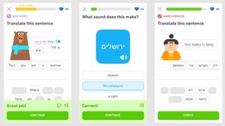Examples of Yiddish lessons on Duolingo