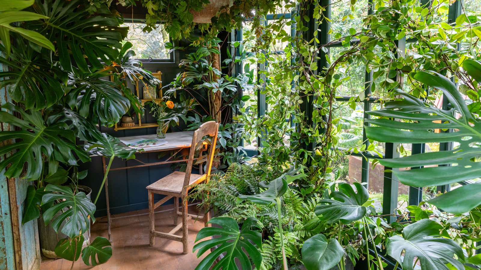 biophilic interior design using houseplants including monstera and ferns, with a deck and chair