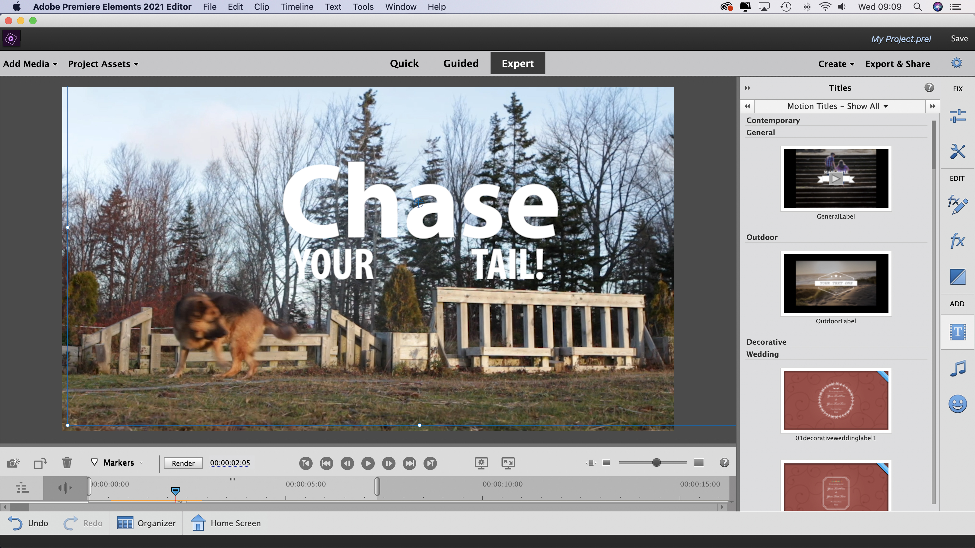 adobe photoshop elements 2021 mac download