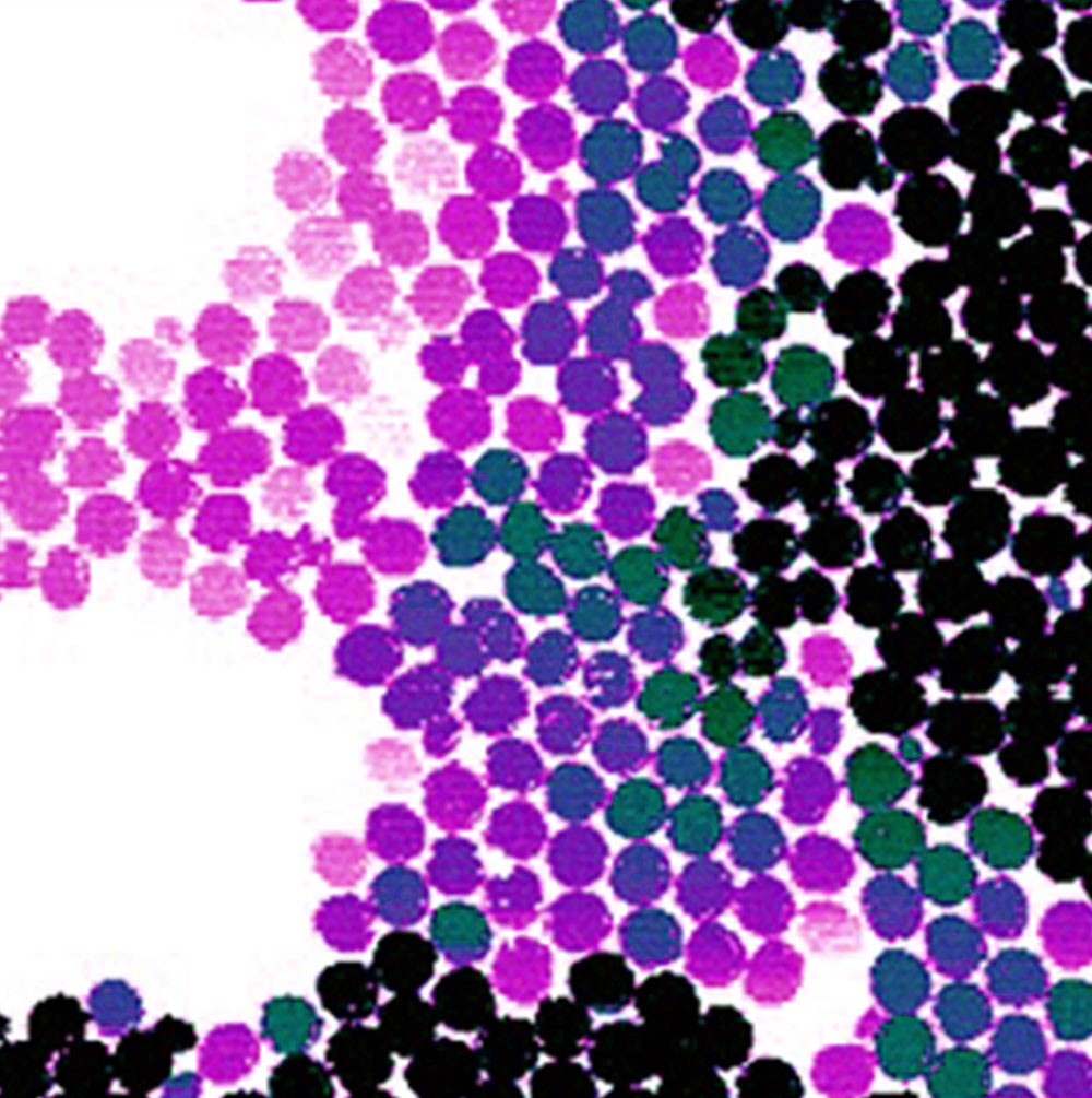 art of science image