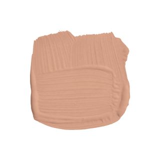 light salmon-colored paint swatch