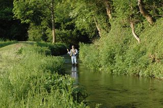 Bishopstone-Meadow