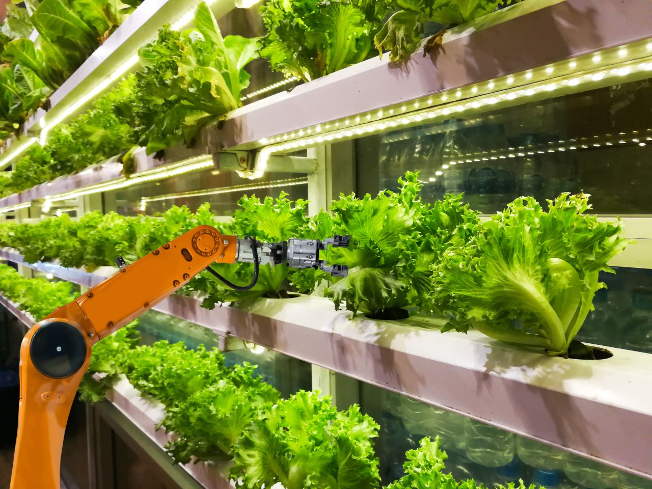 Robot operates in a vertical farm