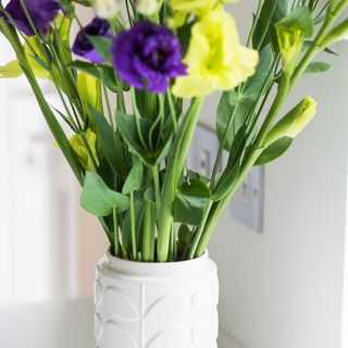 white flower pot with flowers