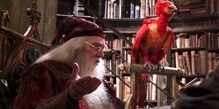 Fawkes and Dumbledore