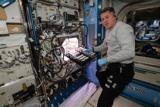 NASA astronaut Shane Kimbrough inserts a device called a science carrier into the Advanced Plant Habitat (APH), which contains 48 Hatch chile pepper seeds NASA started growing on July 12, 2021 as part of the Plant Habitat-04 experiment.
