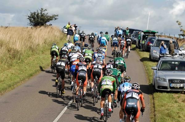 The remainders of the bunch in the sunshine
