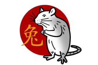 chinese horoscope rat
