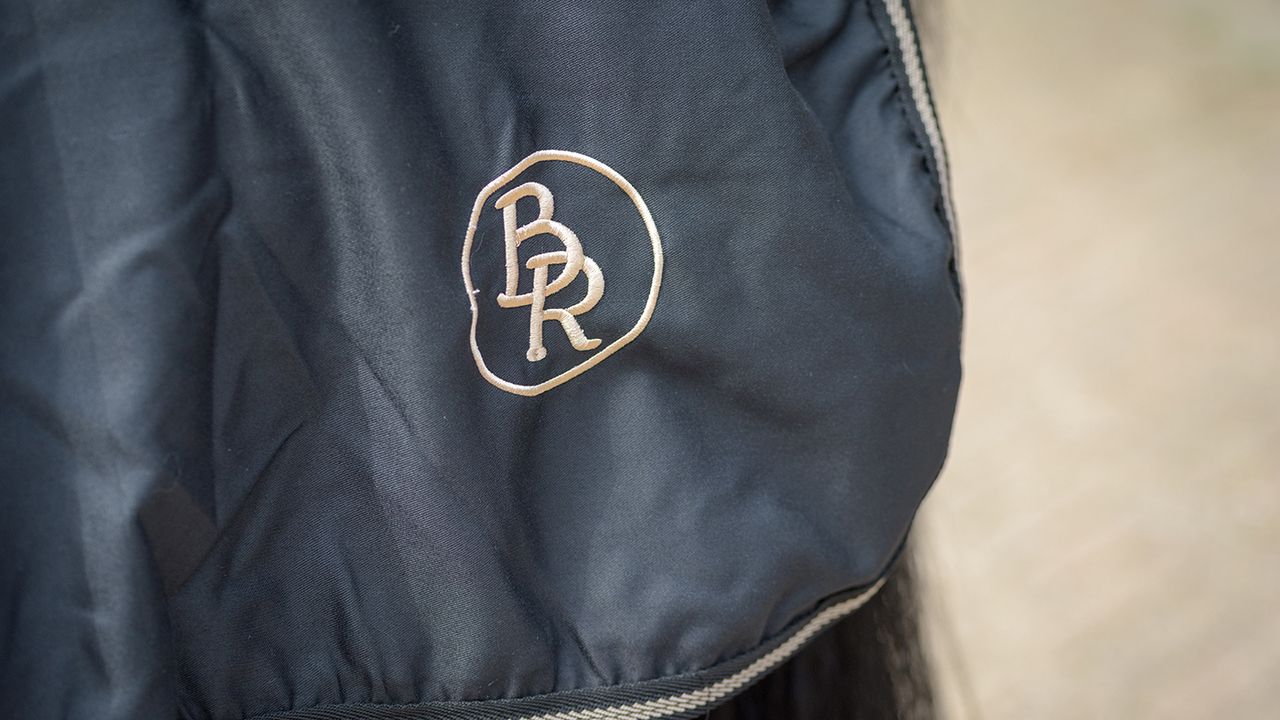 BR Classic cotton rug review