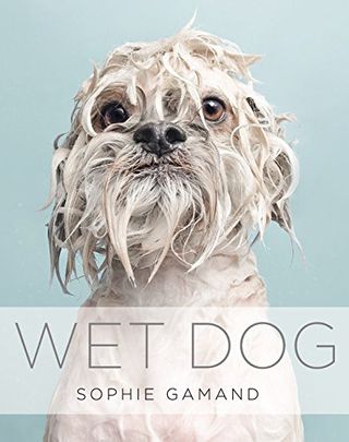 Wet Dog by Sophie Gamand