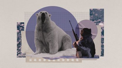 Photo collage of a roaring polar bear and a hunter with a rifle, sitting in the snow. 