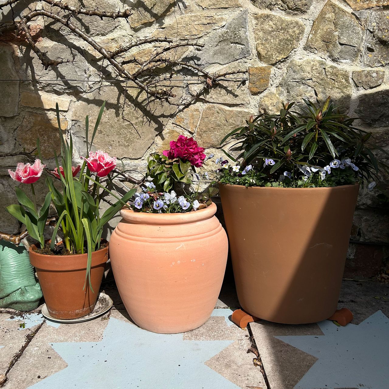 Stone wall lined with potted plants and climber growing up, above patio slabs painted with blue star design